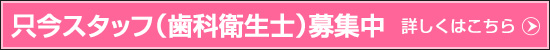 A@̃X^btiȉqmjWĂ܂