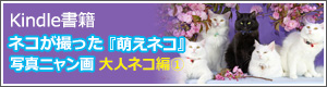 Kindle書籍