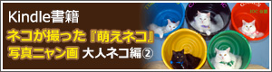 Kindle書籍